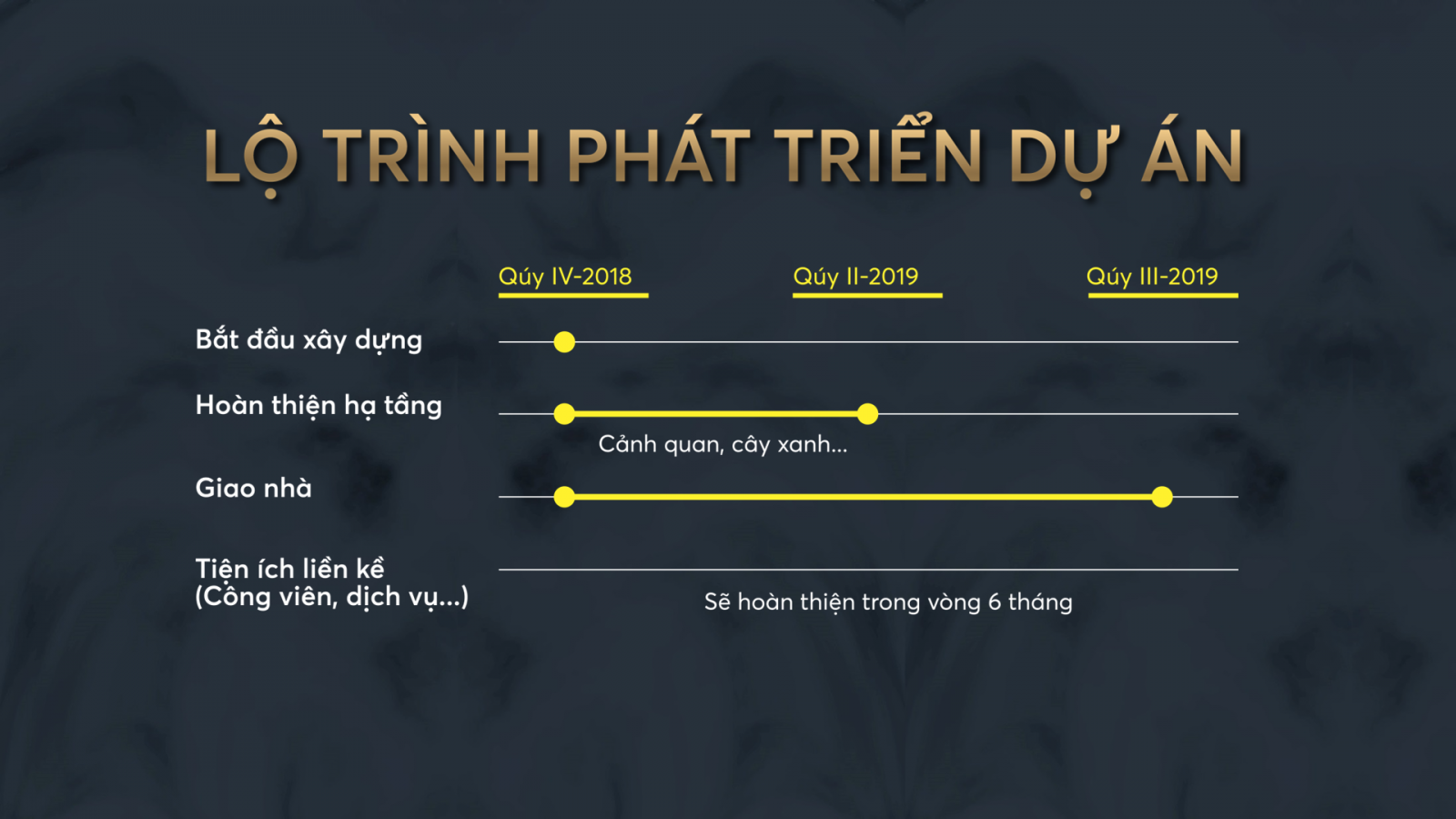 CTCP ĐÔ THỊ THÔNG MINH VIỆT NAM