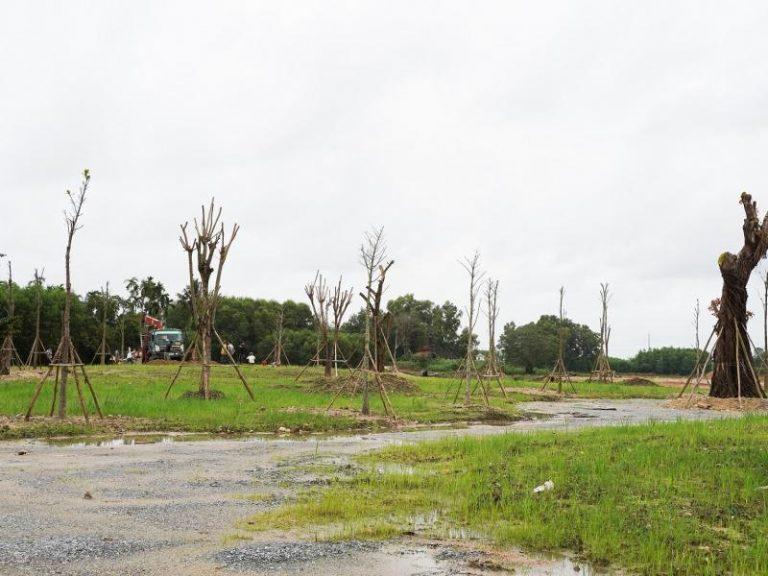 184-goc-cap-nhat-du-an-phu-dien-residences-thang-01-2019-768x576-1