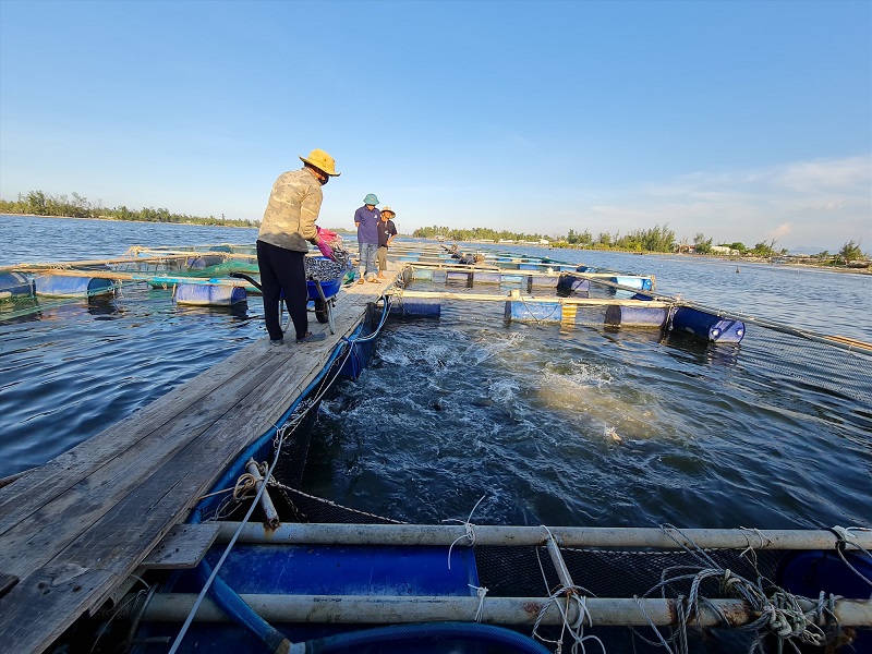 Đất MNC là gì? Quy định cho thuê đất MNC mới nhất hiện nay